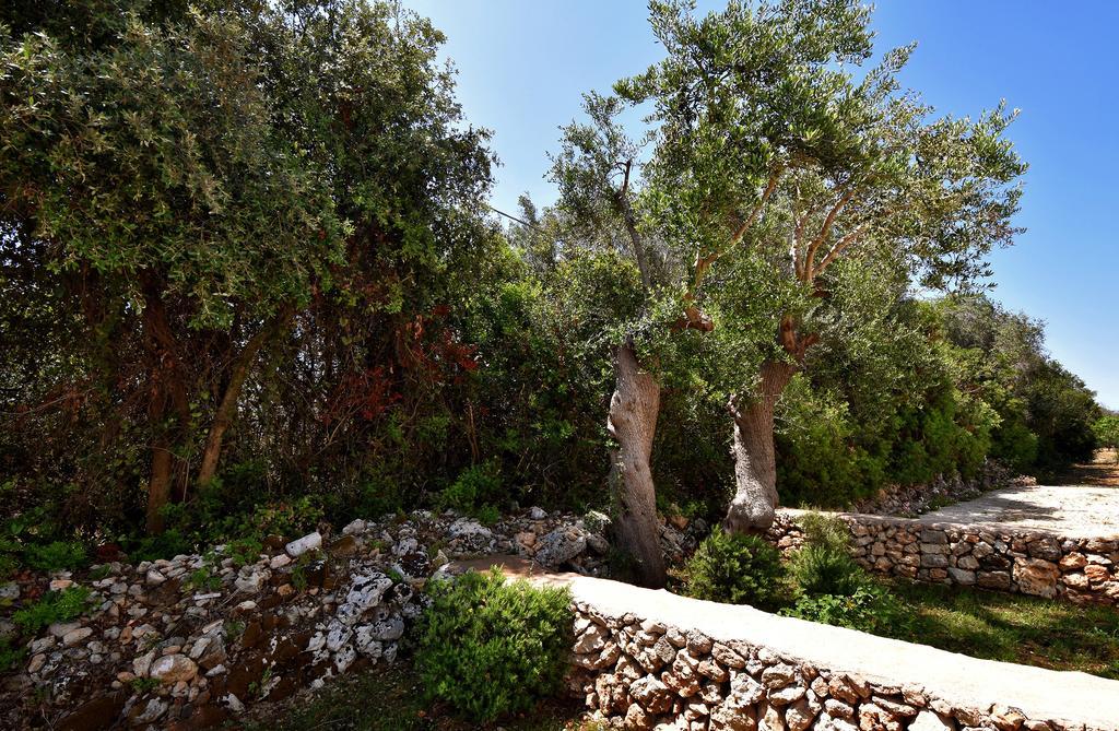 גאליפולי Masseria Pitanni מראה חיצוני תמונה